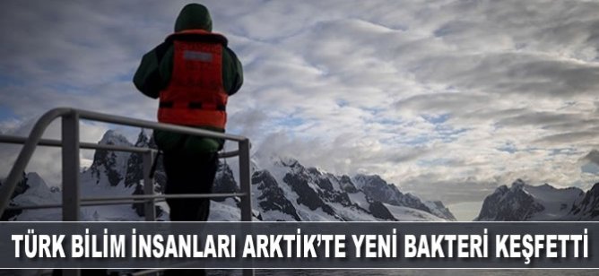 Türk bilim insanları Antarktika'dan sonra Arktik'te de yeni bakteri keşfetti