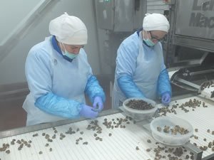 Korona virüsü donmuş su ürünlerine talebi artıracak