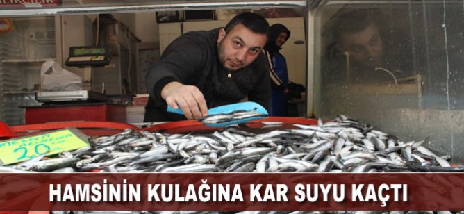 Hamsinin kulağına kar suyu kaçtı