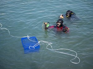 Denizden çıkanlar görenleri şaşırtıyor