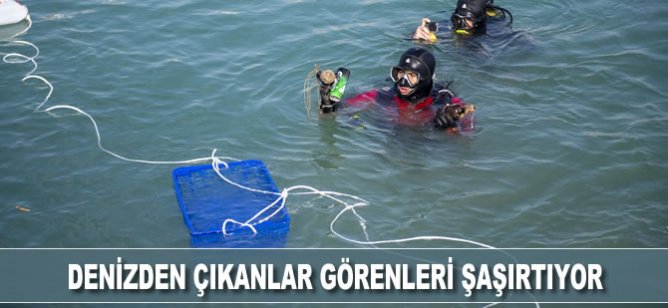 Denizden çıkanlar görenleri şaşırtıyor