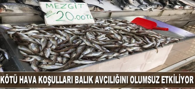 Kötü hava şartları balık avcılığını olumsuz etkiliyor