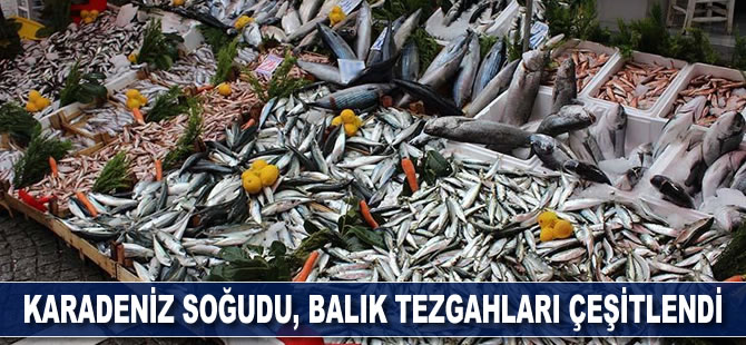 Karadeniz soğudu, balık tezgahları çeşitlendi