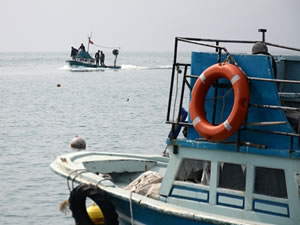 Mersin'de yasadışı balık avına ceza yağdı