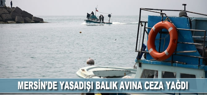 Mersin'de yasadışı balık avına ceza yağdı