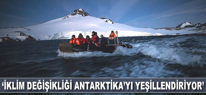 'İklim değişikliği Antarktika'yı yeşillendiriyor'