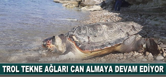 Trol tekne ağları can almaya devam ediyor
