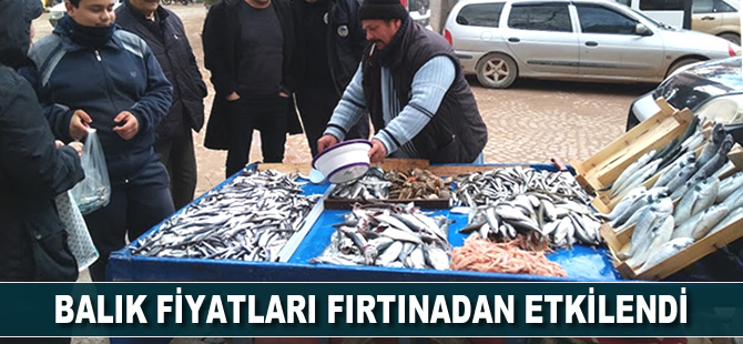Fırtına, balık fiyatlarını artırdı