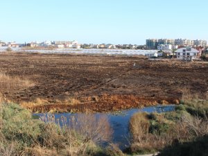 Yamansaz Gölü kurumaya yüz tuttu