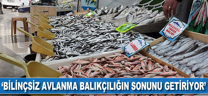 'Böyle giderse balıkçılık biter'