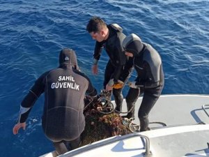 Sahil Güvenlik'ten deniz patlıcanı operasyonu