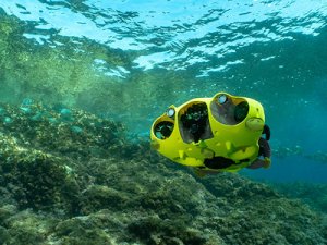 Sualtında limit tanımayan özgürlük