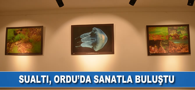 Sualtı, sanatla buluştu