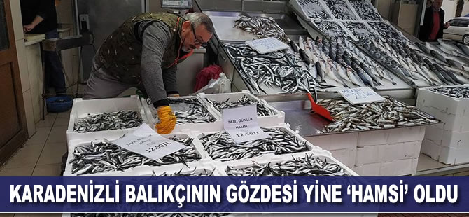 Karadenizli balıkçının gözdesi yine 'hamsi' oldu
