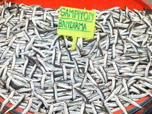 Hamsi 35 lira ile rekor kırdı