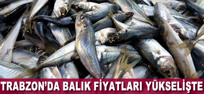 Trabzon'da balık fiyatları yükselişte