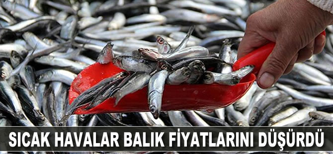Sıcak havalar balık fiyatlarını düşürdü