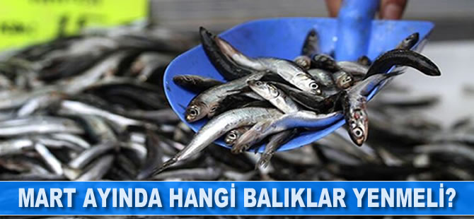 Mart ayında hangi balıklar yenmeli?