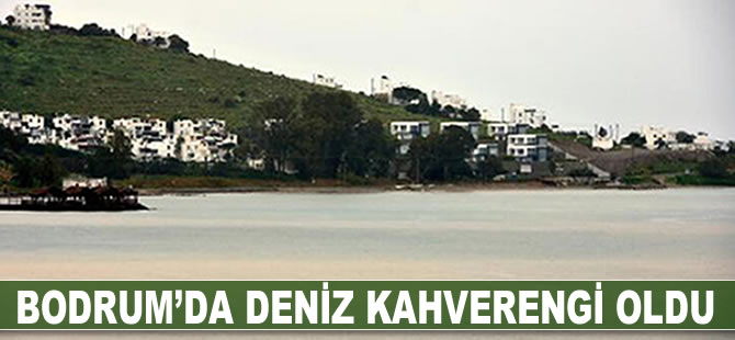 Bodrum'da deniz kahverengi oldu
