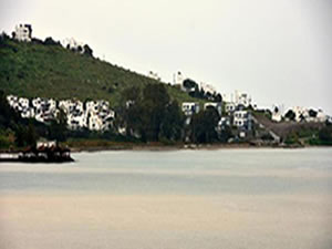 Bodrum'da deniz kahverengi oldu