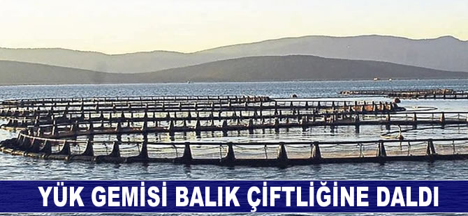 Yük gemisi balık çiftliğine daldı