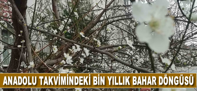 Anadolu takvimindeki bin yıllık bahar döngüsü