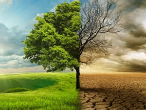 Hükümetler iklim çabalarını dört kat arttırmalılar