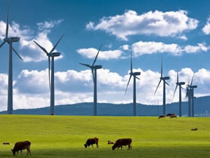 Avrupa rüzgar elektriğinde rekor kırdı