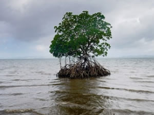 2100 yılında denizin 60 santim yükselmesi bekleniyor