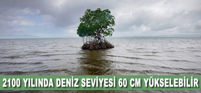 2100 yılında denizin 60 santim yükselmesi bekleniyor