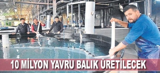 10 milyon yavru balık üretilecek