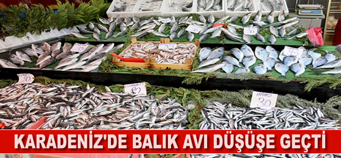 Karadeniz'de balık avı düşüşe geçti