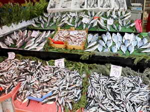 Karadeniz'de balık avı düşüşe geçti