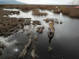 Eber Gölü'nü ateşe veren şüpheli yakalandı