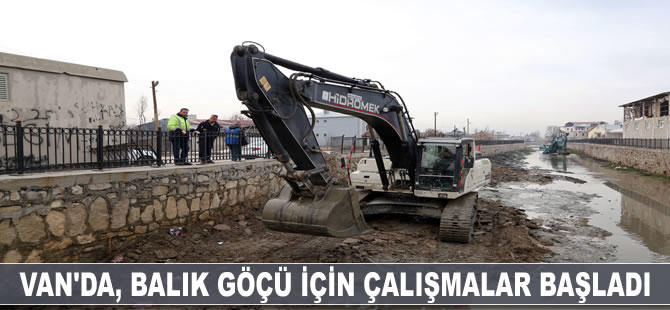 Van'da, balık göçü için çalışmalar başladı