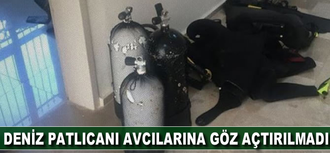 Deniz patlıcanı avcılarına göz açtırılmadı