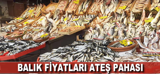 Balık fiyatları ateş pahası