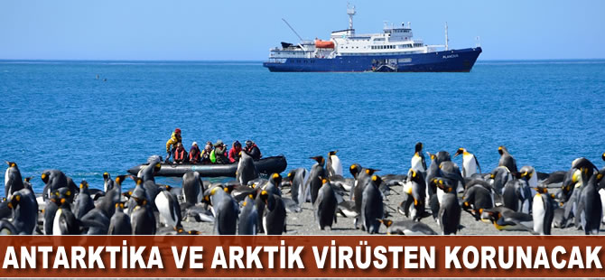 Antarktika ve Arktik virüsten korunacak