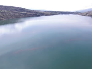 Elazığ depremi ile ilgili su altı incelemesi yapıldı