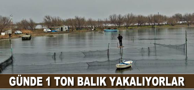 Günde 1 ton balık yakalıyorlar
