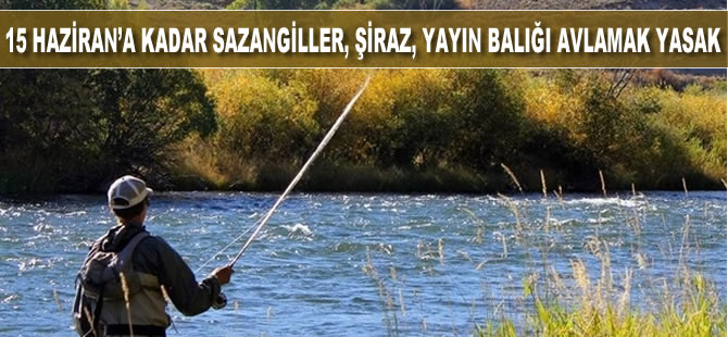 15 Haziran'a kadar iç sularda Sazan,Şiraz ve Yayın balığı avlamak yasak
