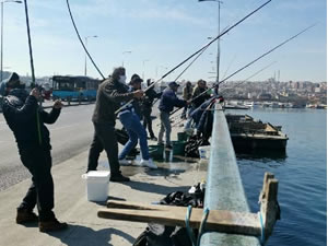 Galata Köprüsü'nde balık sevdası koronavirüs dinlemedi