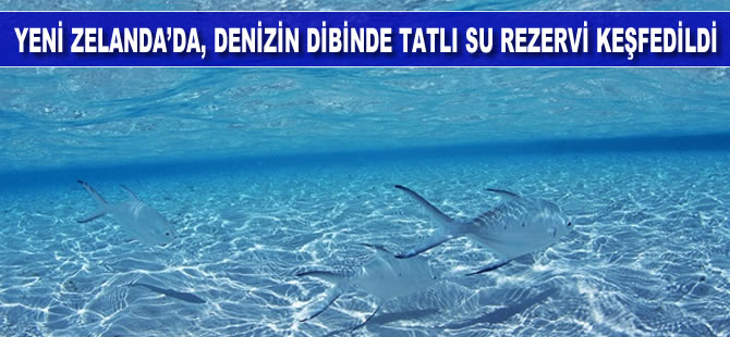 Yeni Zelanda’da denizin dibinde devasa boyutta bir tatlı su rezervi keşfedildi