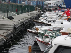 Teknede yaşayan balıkçı denize düşerek hayatını kaybetti
