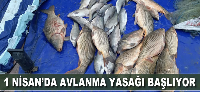 1 Nisan’da avlanma yasağı başlıyor