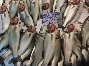 2020 Yılı Mart ayı sonu hal ve tezgahta balık fiyatları