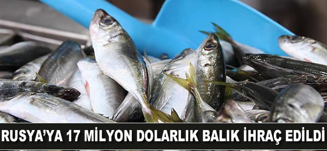 Rusya'ya 17 milyon dolarlık balık ihraç edildi