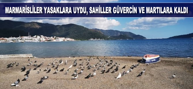Marmarisliler yasaklara uydu, sahiller güvercin ve martılara kaldı
