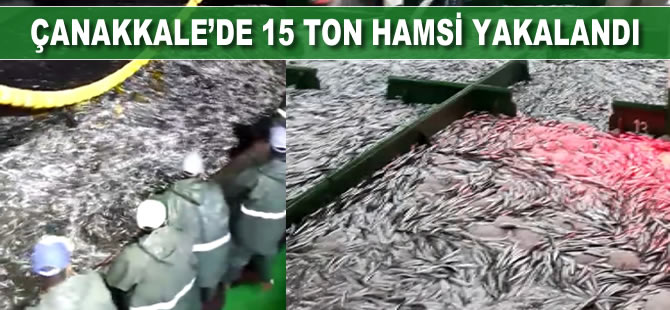 Çanakkale’de 15 ton hamsi yakalandı