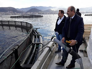 En fazla hibe desteği su ürünleri üretimine verilecek